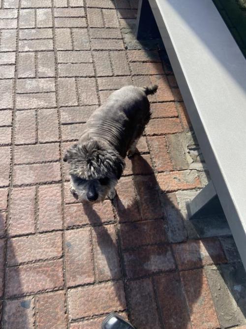 수원 영통구 원천동 원천삼성아파트 정류장부근