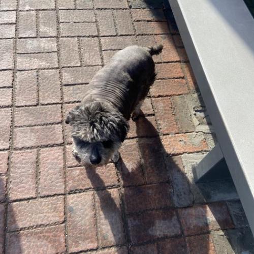 수원 영통구 원천동 원천삼성아파트 정류장부근