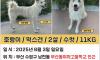 호랑이를 찾습니다!