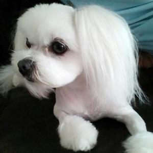 우리아미좀찾아주세요