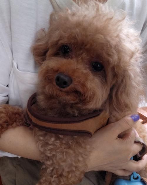 송파구 삼전동174-7번지