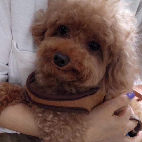 송파구 삼전동174-7번지