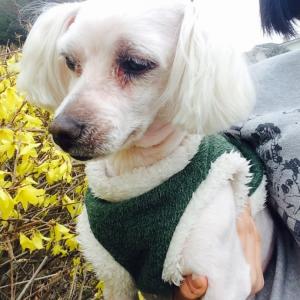 수리를 찾습니다!!