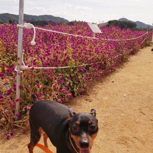 건이찾았습니다!!