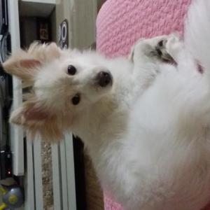 도와주세요