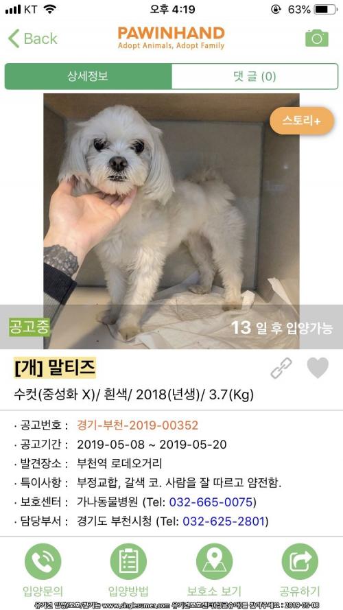 부천역 롯데시네마 근처에서 발견한 말티즈 주인 찾습니다!