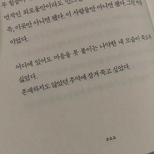 대구 효목동 동구시장 근처에서 잃어버린 강아지 찾습니다