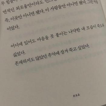 대구 효목동 동구시장 근처에서 잃어버린 강아지 찾습니다
