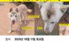저희 아이 제보 부탁드립니다