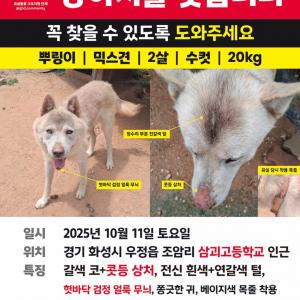 저희 아이 제보 부탁드립니다