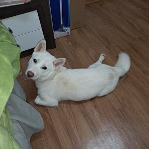 우리 지니를 찾고 있어요~