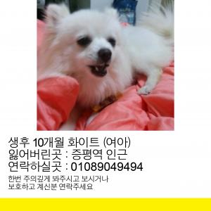 마루를 찾습니다(증평)