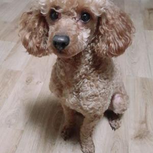 우리  대박이  찾아 주세요~