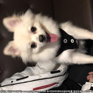우리애기를찾습니다 도와주세요