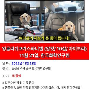 찾급니다