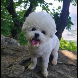 하남 용문산 등산중 잃어버렸어요 비가 오는데 보신분 연락주세요