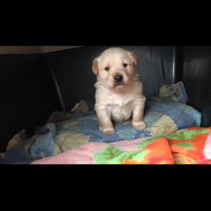 속초종합운동장 안쪽 건물에서 도둑맞음