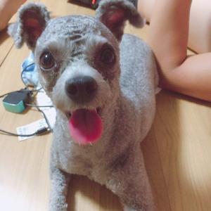 서서생곡리