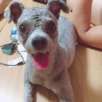 서서생곡리
