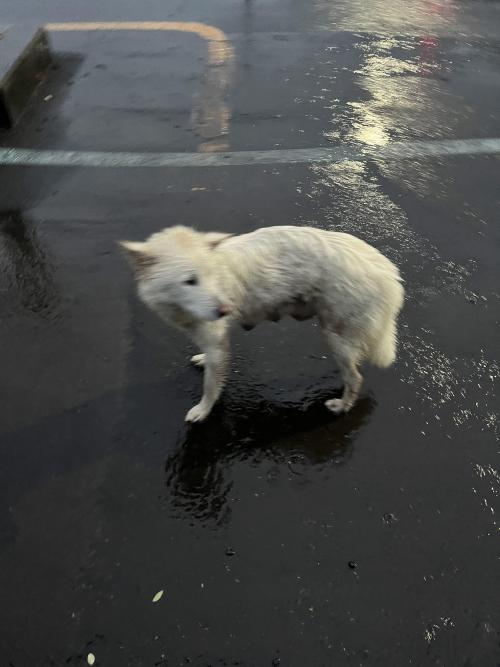 서귀포시 감산 입구