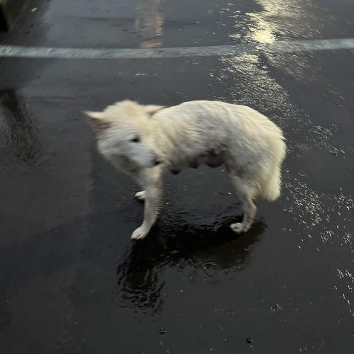 서귀포시 감산 입구