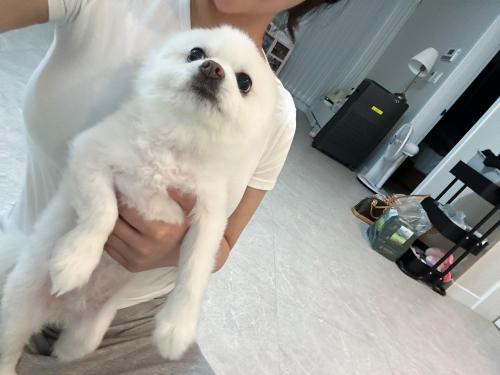 나나를 사랑으로 키워주실 가족분들 연락 부탁드려요…