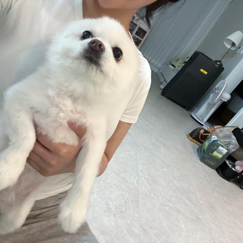 나나를 사랑으로 키워주실 가족분들 연락 부탁드려요…