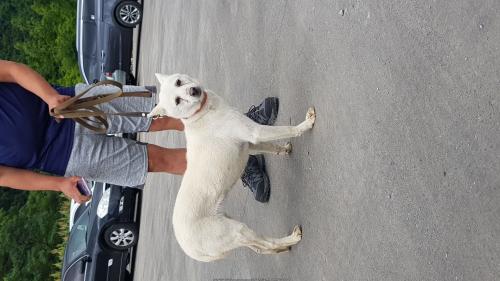 동해시 효자로 482번지 CJ대한통운 사무실 입니다.