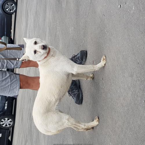 동해시 효자로 482번지 CJ대한통운 사무실 입니다.