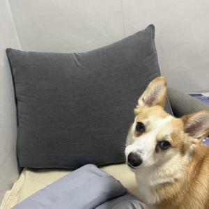 나주시 남편면 지석천 강변1길 드들강 산책로 돌다리부근