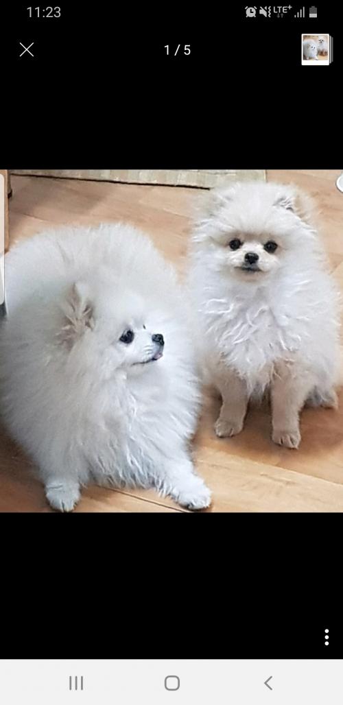 화곡6동(우장산쪽에서)잊어버렸어요 찾고싶습니다