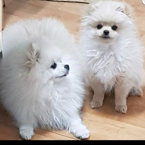 화곡6동(우장산쪽에서)잊어버렸어요 찾고싶습니다