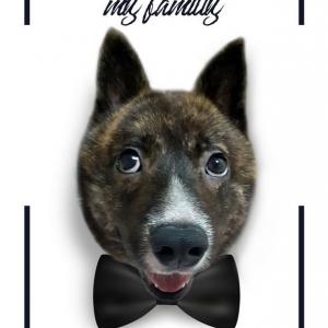 [책임입양 / 진행중] 덩치 큰 강아지 곰이, 평생 사랑해주실분 찾습니다.