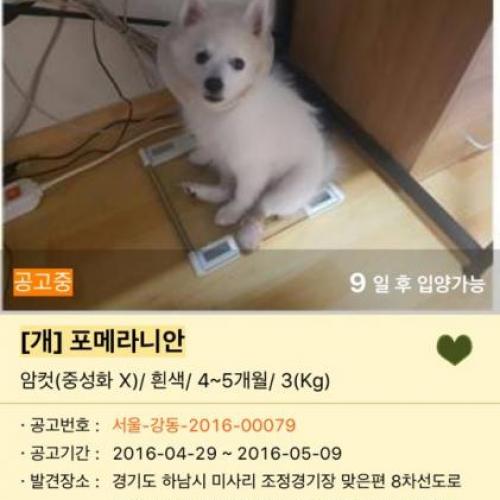 경기도 하남시 미사리 조정경기장