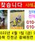 강아지를찿습니다