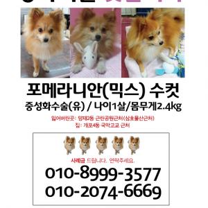 사례금!!! 서초구 양재동, 강남구 개포동 인근 도와주세요!!!!