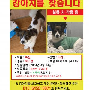 전남 함평군 해보면,월야면 가족찾아요