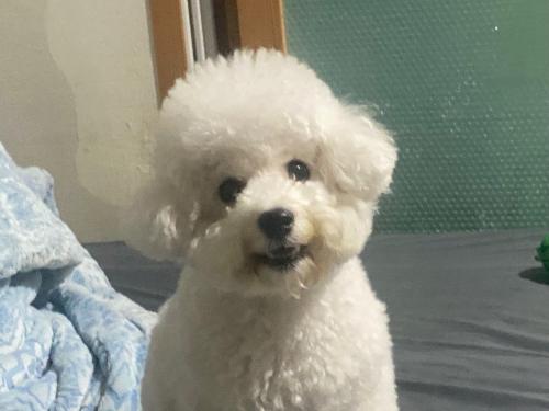 우리애기 데려가실분