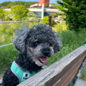 복만이를 찾습니다.