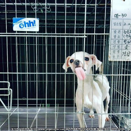 부산경남동물보호센터 입양홍보