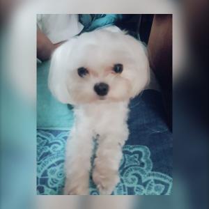 강동구 천호1동