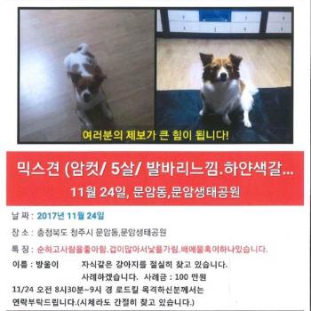 자식같은소중한우리강아지를 찾습니다.도와주세요~!!!
