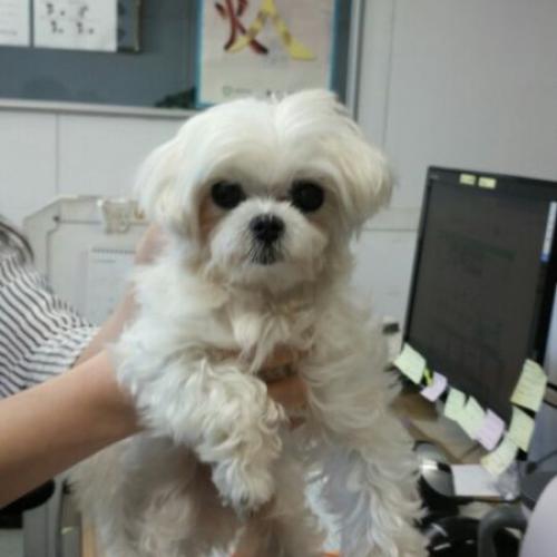 주안6동 르네상스타워