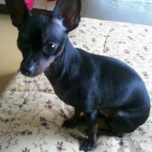 우리 비누 좀 찾아 주세요!!!!!!!!!