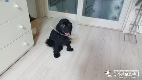 부산 해운대구 블랙코카 여아