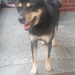 대구 대명동 에서