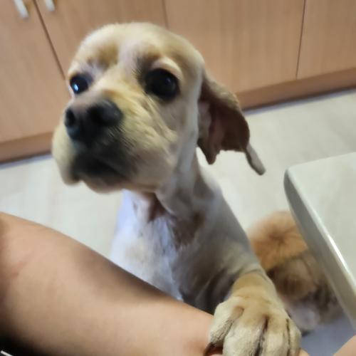 사랑스러운 여자친구 로또에요