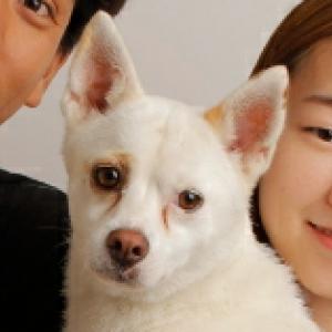 만수동 숭덕여고 흰색 믹스견