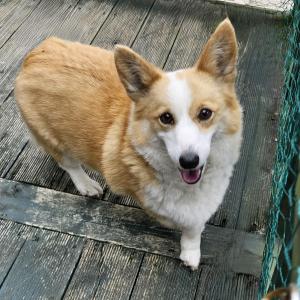 달자를 간절히 찾습니다