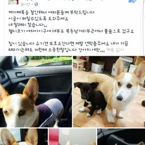 우리토토를찾습니다..